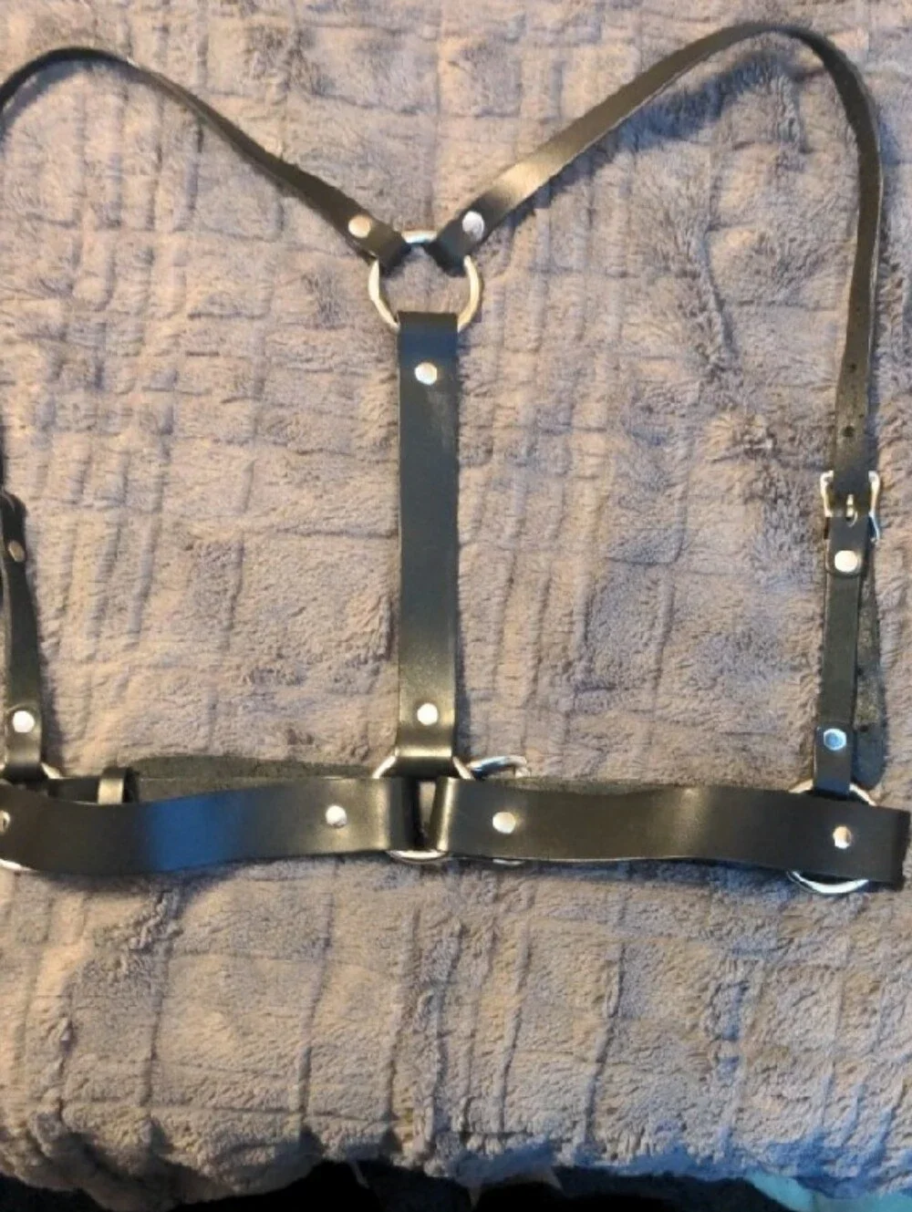Zana Bayne Signatire Harness L